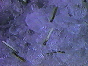 1202_1093a_Generic Video Art.jpg 1202_1093a_Generic Video Art.jpg